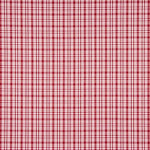 Popline para Camisa Xadrez Boston - Ribes y Casals