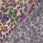 Rede Elástica Laminada Leopardo Rosa - Ribes y Casals