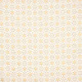 Popeline Algodão Polaris Cru - Ribes y Casals