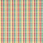 Popline para Camisa Xadrez Dundee - Ribes y Casals