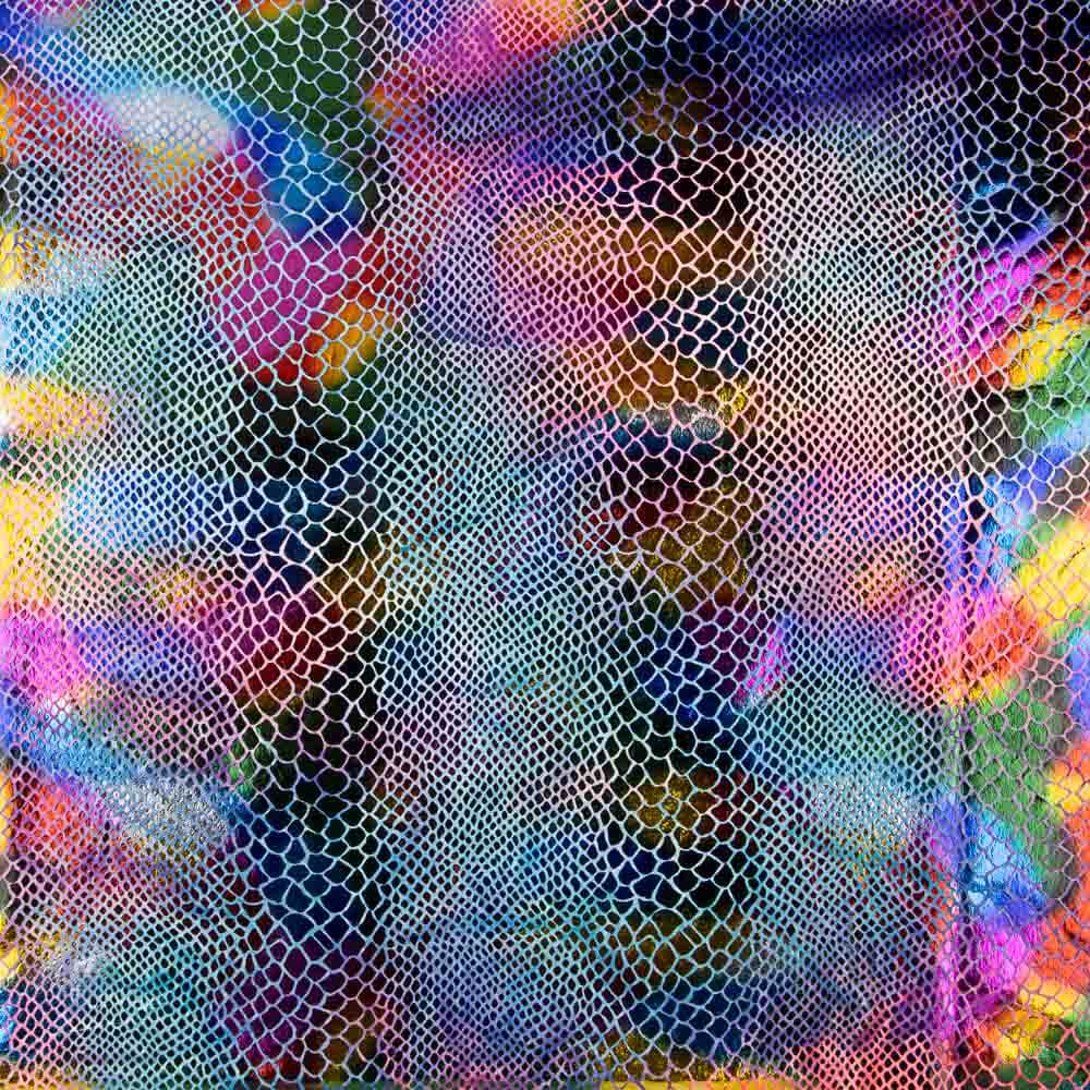 Lycra Cobra Lâmina Multicolorido - Ribes y Casals