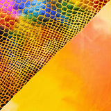 Lycra Cobra Lâmina Laranja - Ribes y Casals