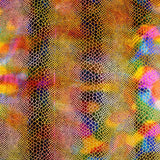 Lycra Cobra Lâmina Laranja - Ribes y Casals