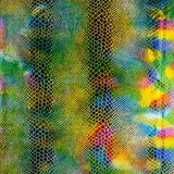 Lycra Cobra Lâmina Verde - Ribes y Casals