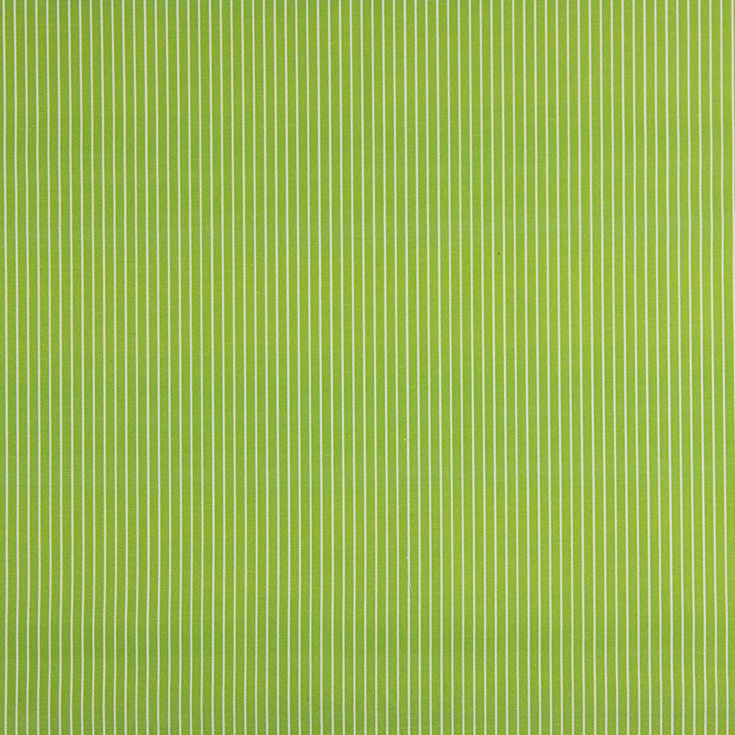Percal estampado às riscas pistácio - Ribes y Casals
