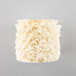 Fita de Renda Crua 22 mm - Ribes y Casals