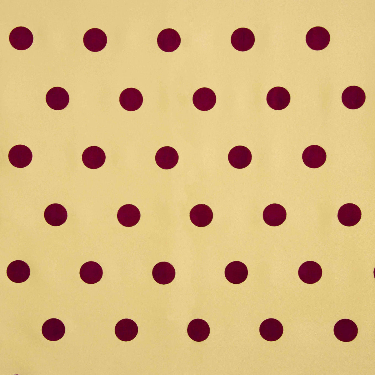 Fama Camel Bolinhas Flocked Granada 30mm - Ribes y Casals