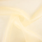 Organza de seda bege - Ribes y Casals