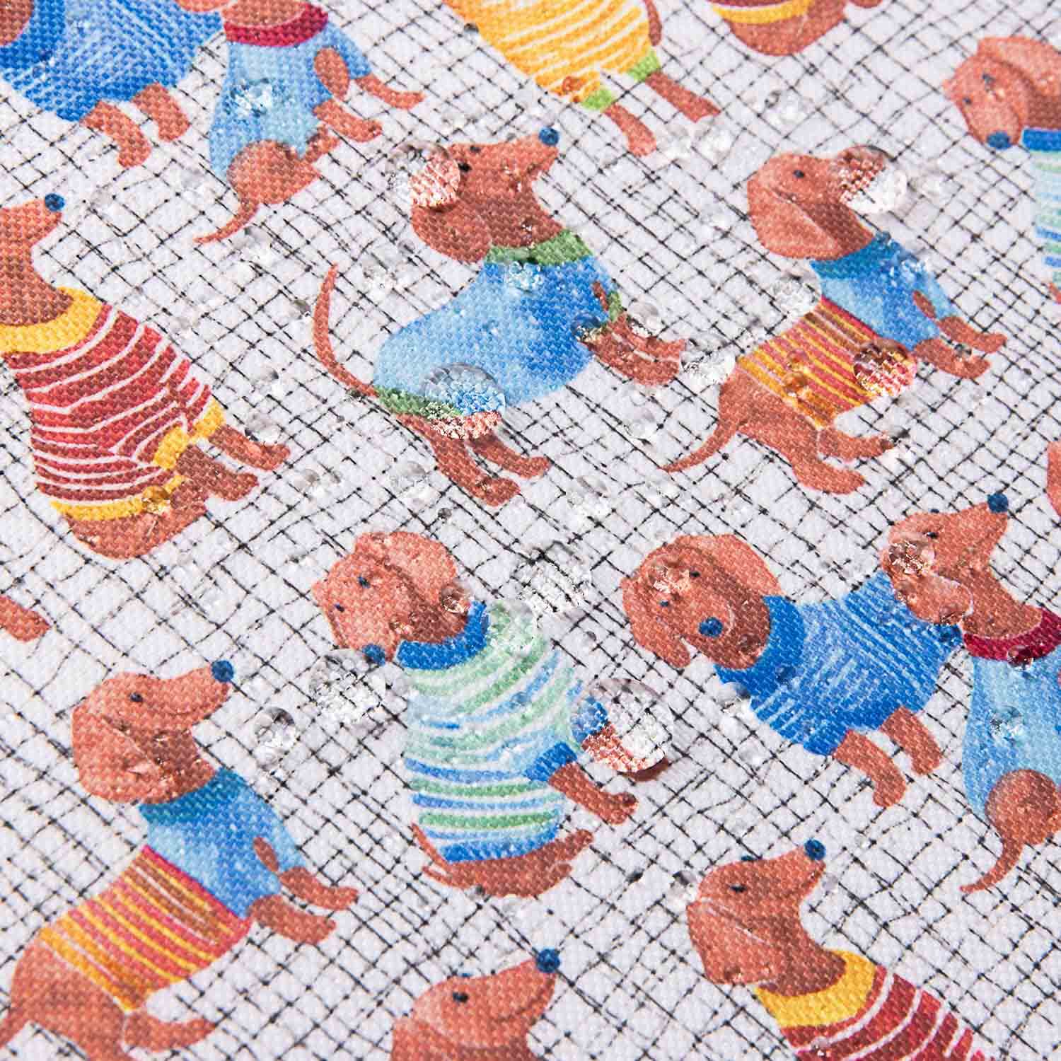 Resinado Repelente de Água Cães Salsicha - Ribes y Casals