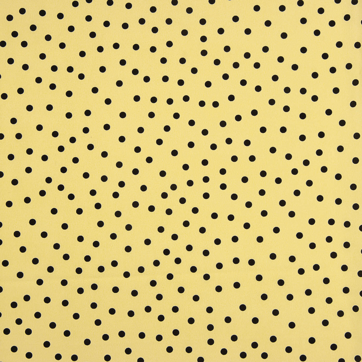 Koshibo Bolinhas 7 mm Baunilha / Preto - Ribes y Casals