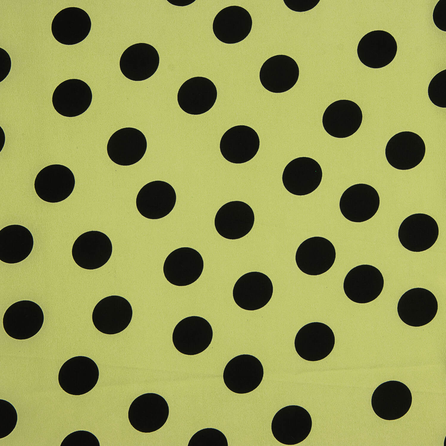 Koshibo Bolinhas 33 mm Verde / Preto - Ribes y Casals