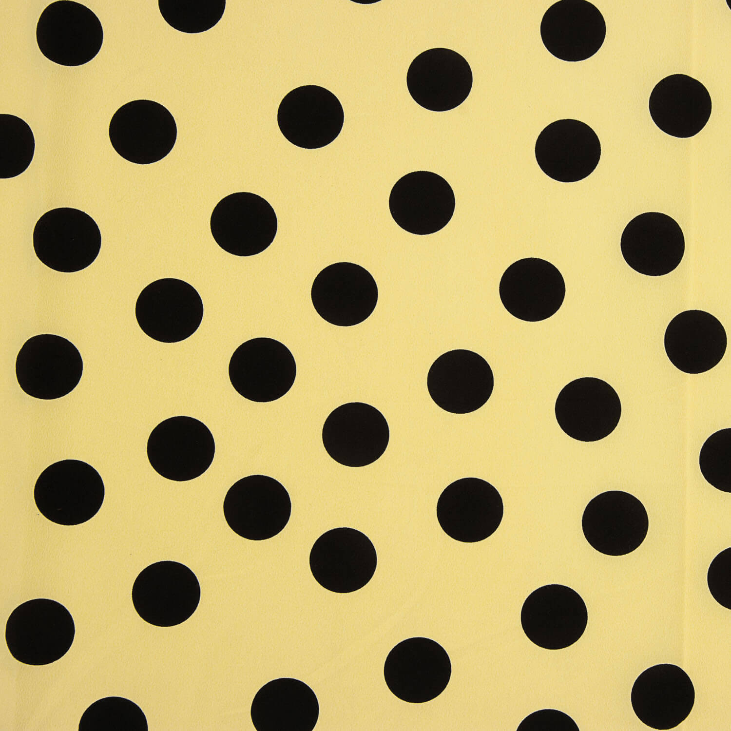 Koshibo Bolinhas 33 mm Baunilha / Preto - Ribes y Casals