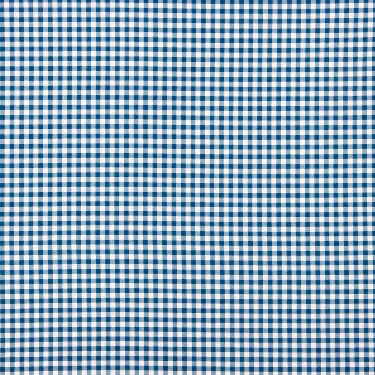 Crepe Vichy Marinho e Branco - Ribes y Casals