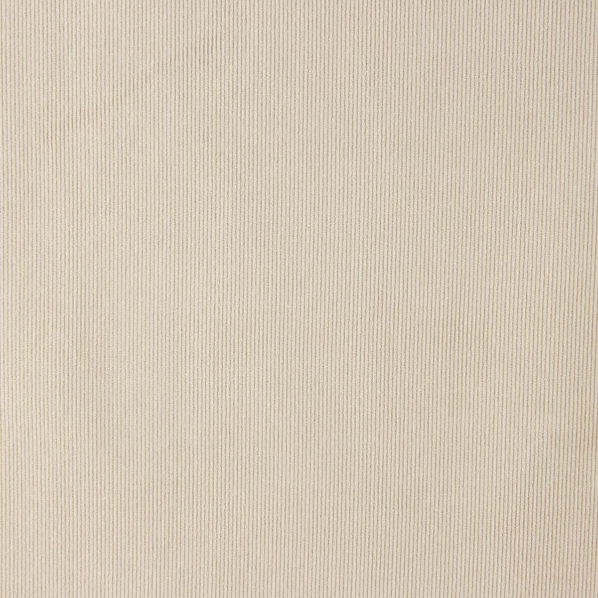 Bombazina Algodão Bege - Ribes y Casals