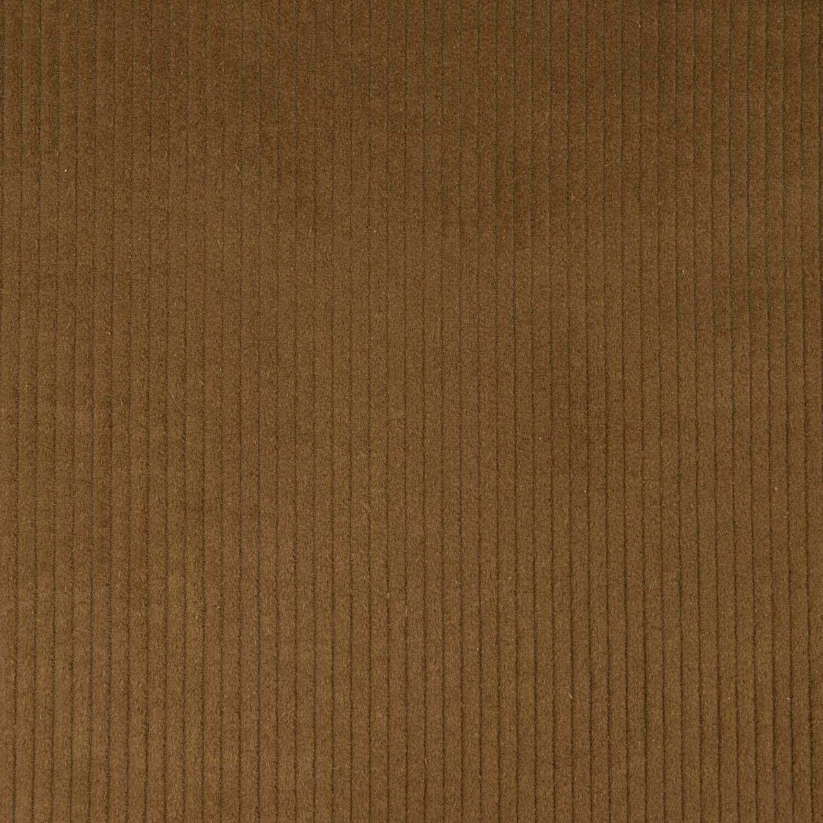 Veludo Algodão Tabaco - Ribes y Casals