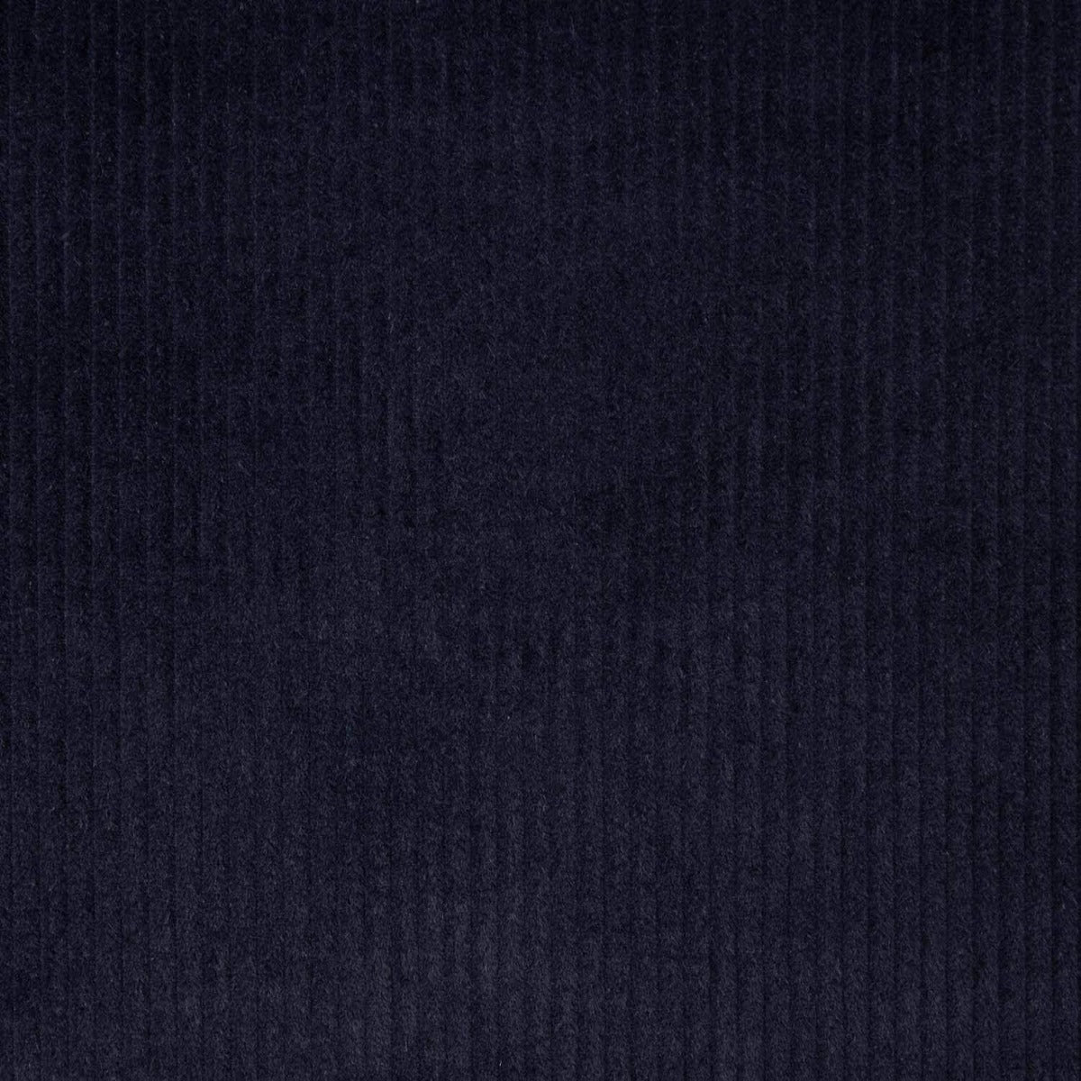 Veludo Algodão Marinho - Ribes y Casals