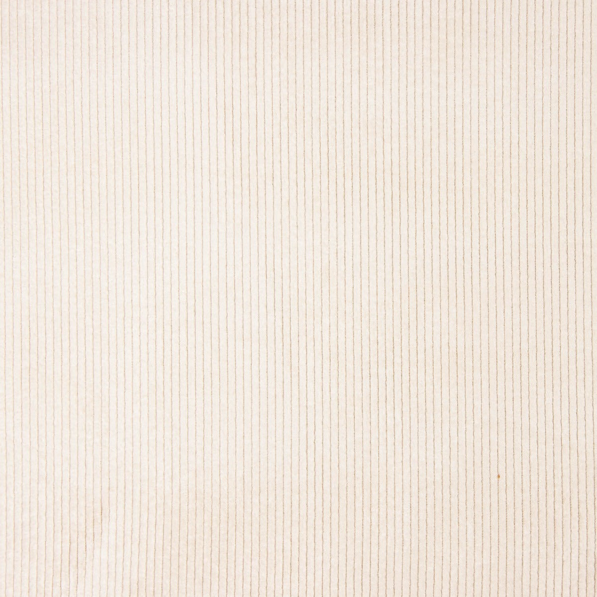 Veludo Cordelé Efeito Lavado Cru - Ribes y Casals