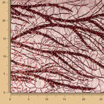 Tule Fantasia Lentejuela Vermelha - Ribes y Casals