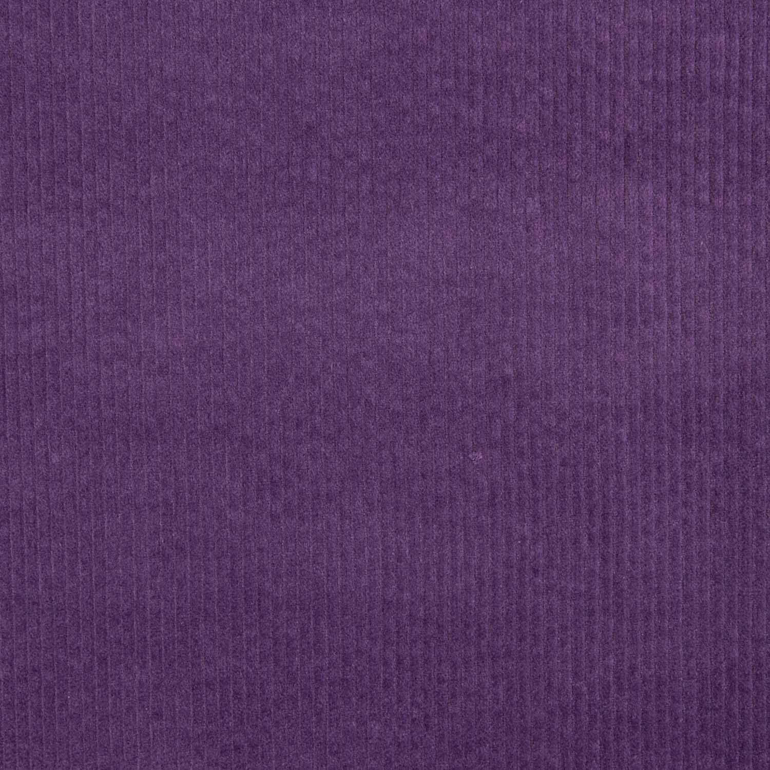 Pana Cordelé Spandex Roxo - Ribes y Casals