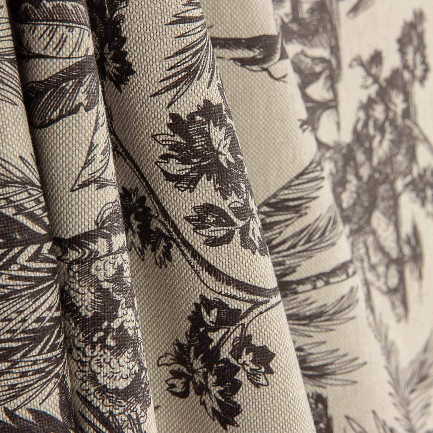 Lona de algodão estampada botânica preta - Ribes y Casals