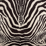 Camurça sintética com padrão zebra - Ribes y Casals