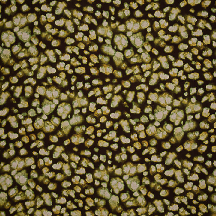 Tecido de viscose estampado de dupla face com padrão mosaico em tom de azeitona - Ribes y Casals