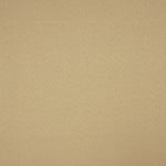 4787016 - Ribes y Casals