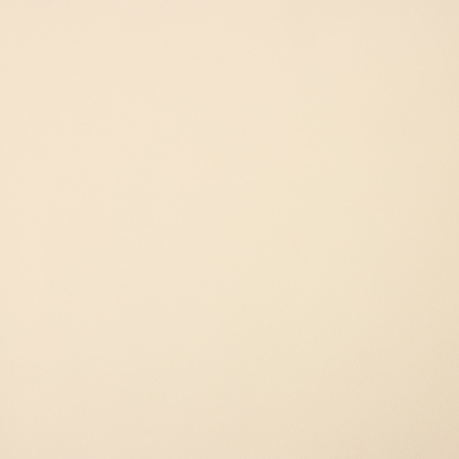 Forro de poliéster elástico bege - Ribes y Casals