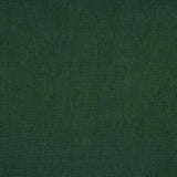 Linho Viscose Verde Escuro - Ribes y Casals