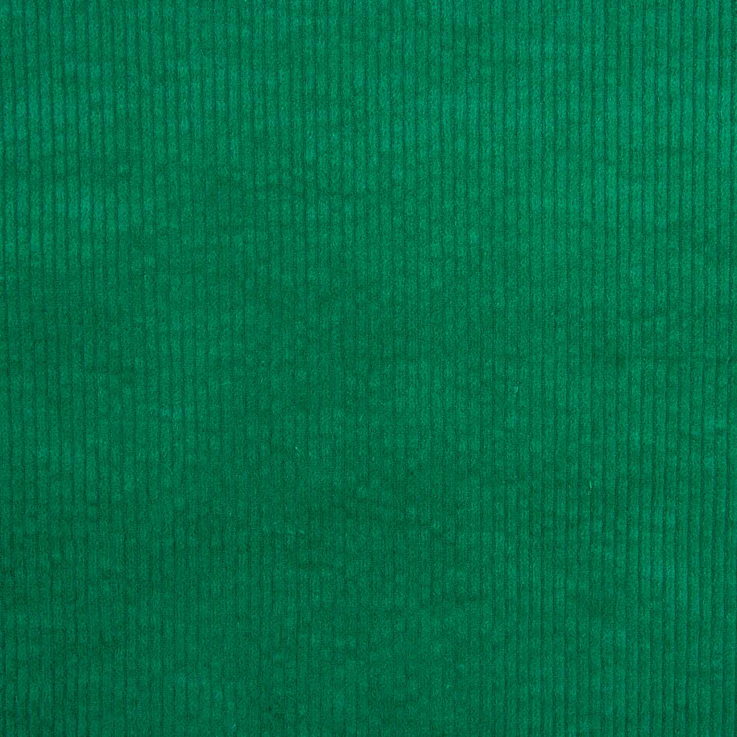 Pana Cordelé Spandex Verde - Ribes y Casals