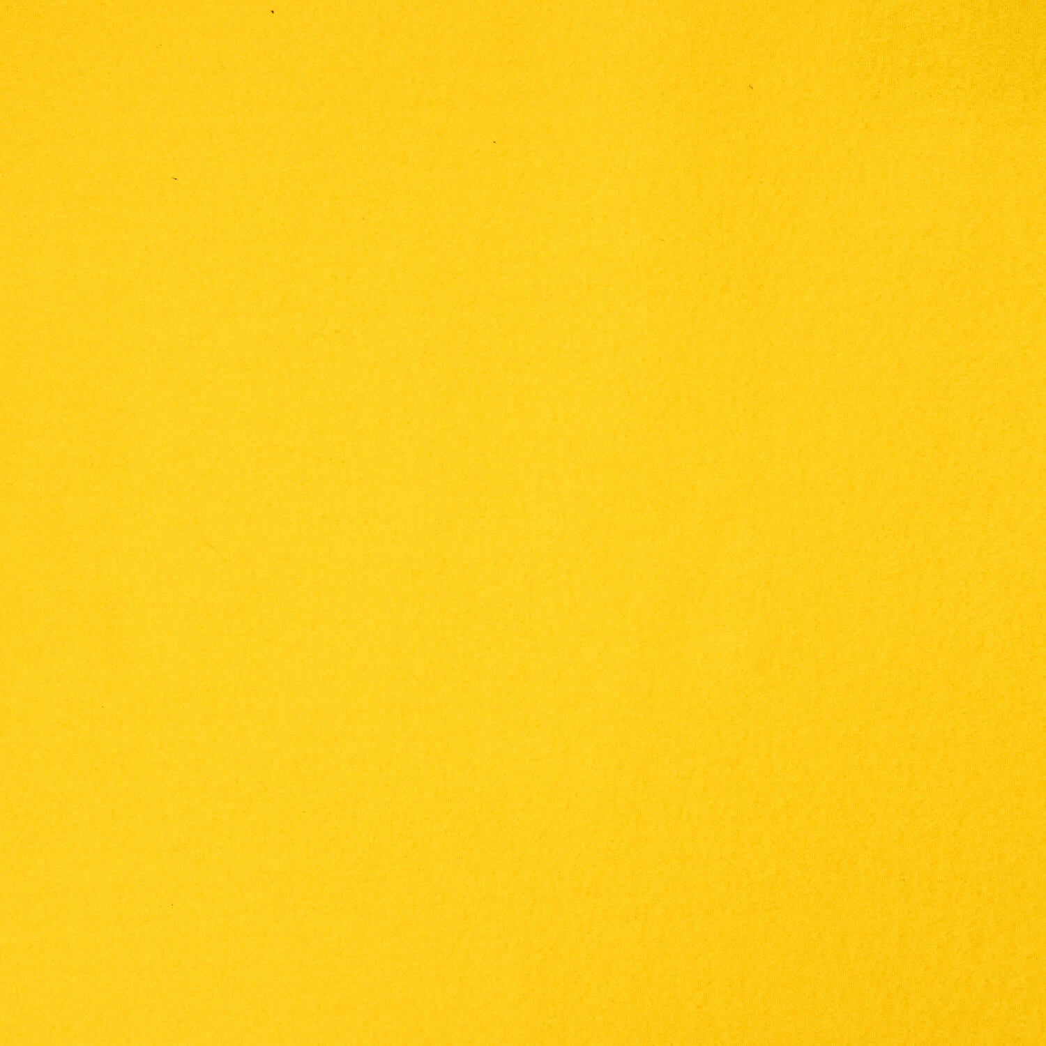 Polar Amarelo - Ribes y Casals