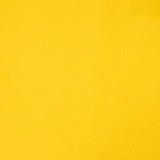 Polar Amarelo - Ribes y Casals