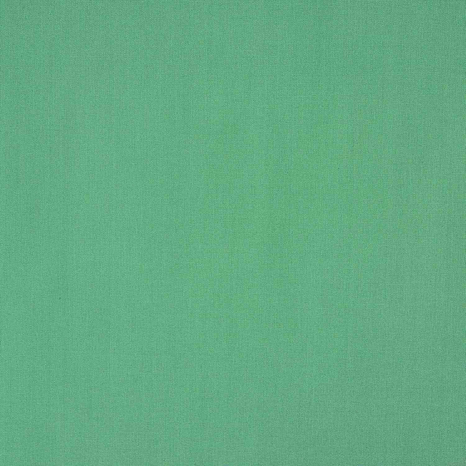 Popeline de algodão liso básico Verde - Ribes y Casals