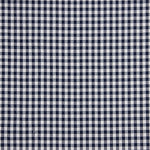 Xadrez Vichy Basic Azul-marinho Médio 60 - Ribes y Casals