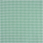 Xadrez Vichy Basic Verde Pequeno 40 - Ribes y Casals
