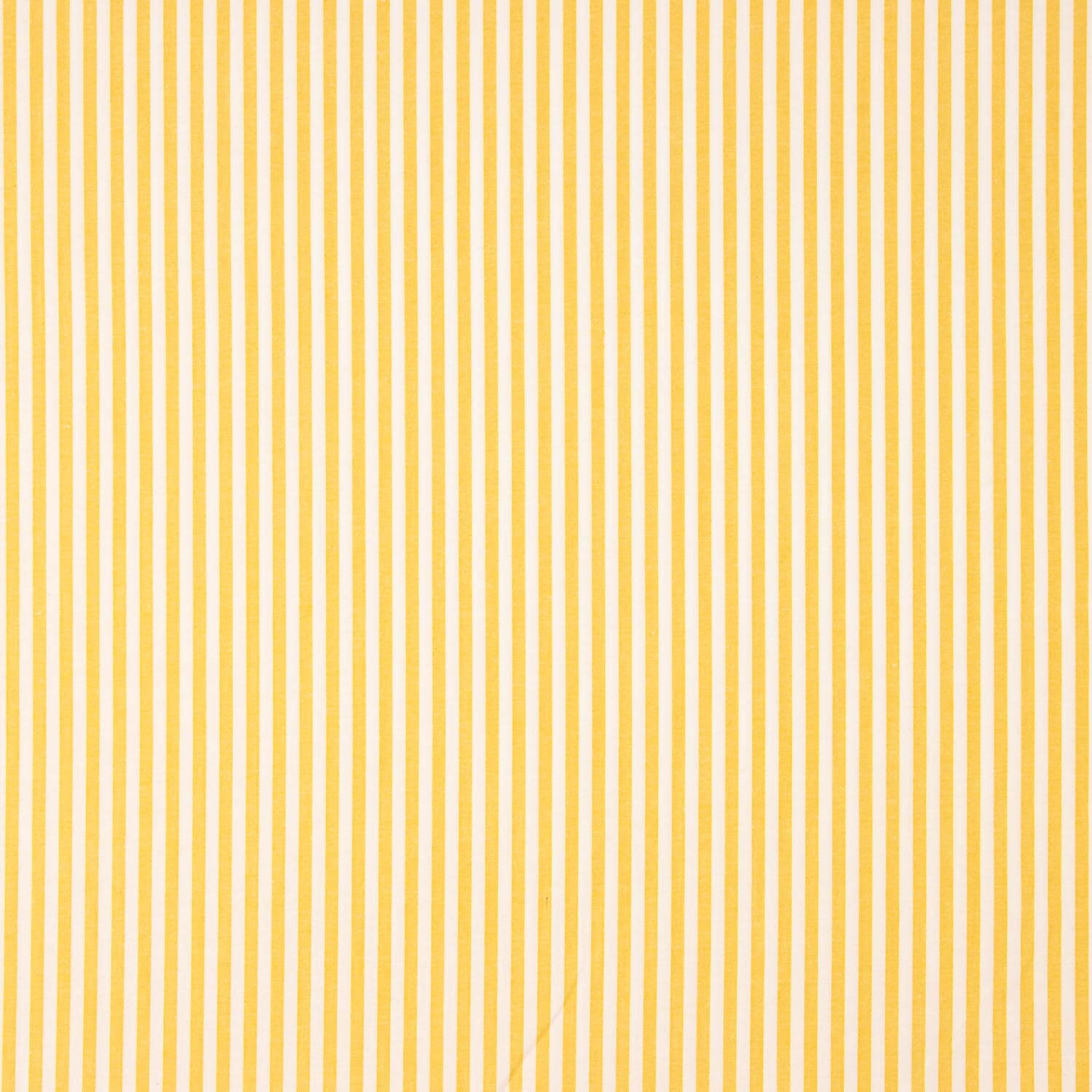 Riscas Amarelo Pequeno 40 - Ribes y Casals