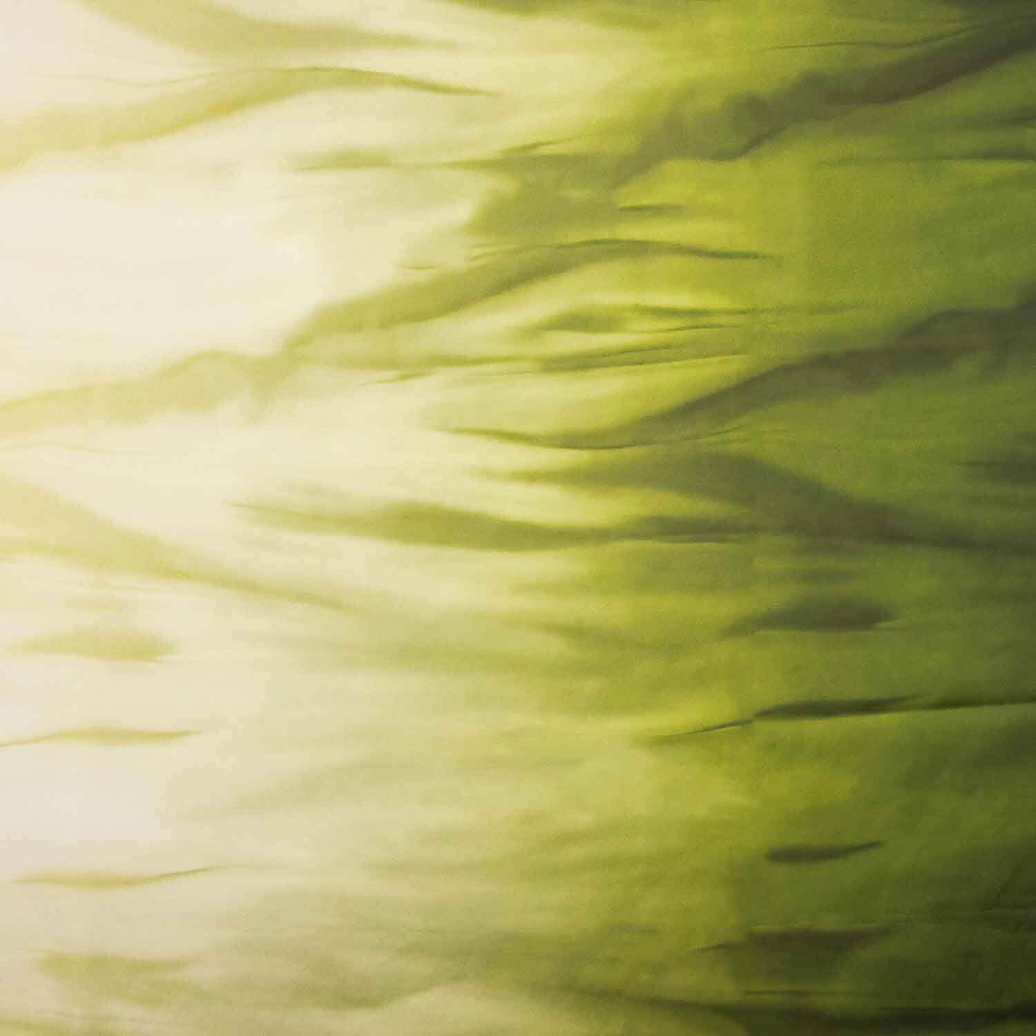 Cascata estampada em cetim verde - Ribes y Casals