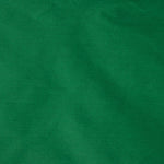 Tafetá Liso Verde Intenso - Ribes y Casals