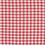 Xadrez Vichy Basic Vermelho Pequeno 40 - Ribes y Casals