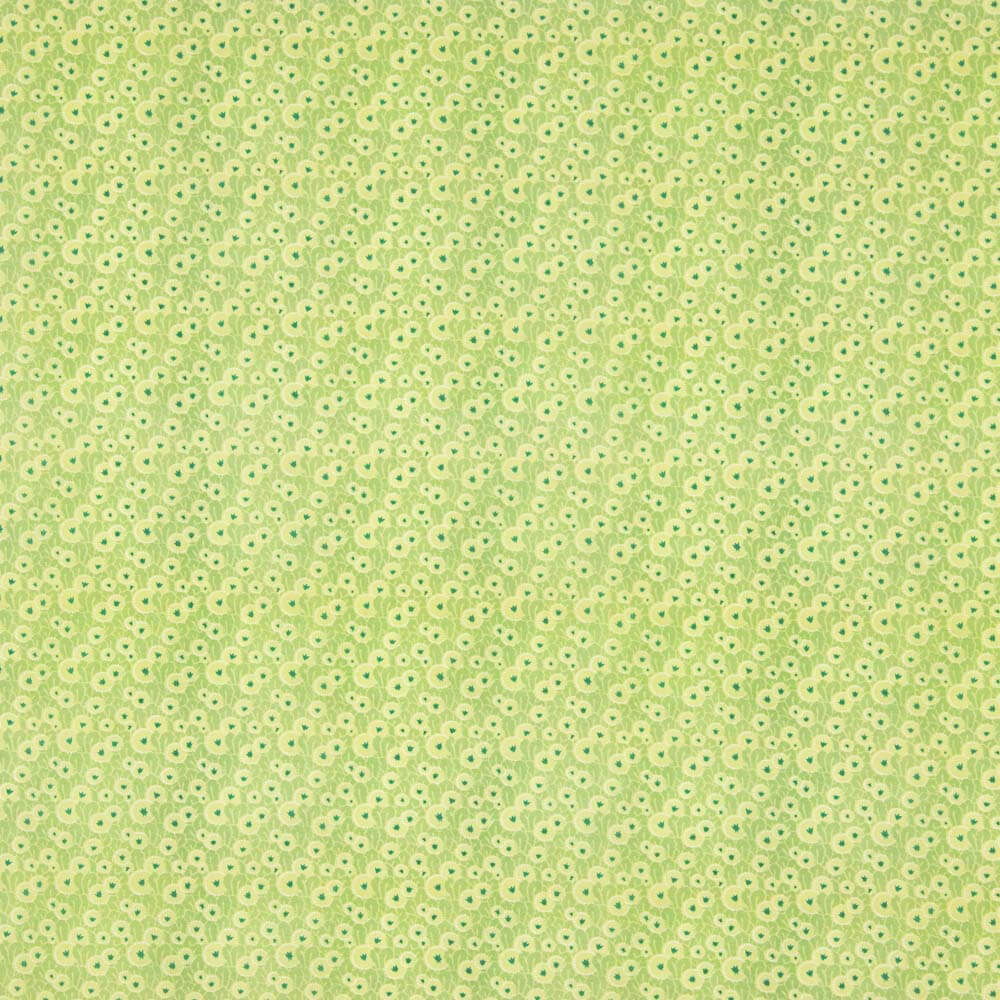 Popeline Algodão Supima Print 09 - Ribes y Casals