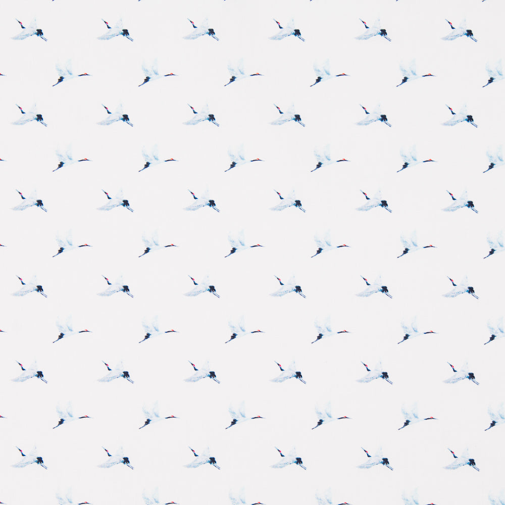 Algodão Antibacteriano Aves - Ribes y Casals