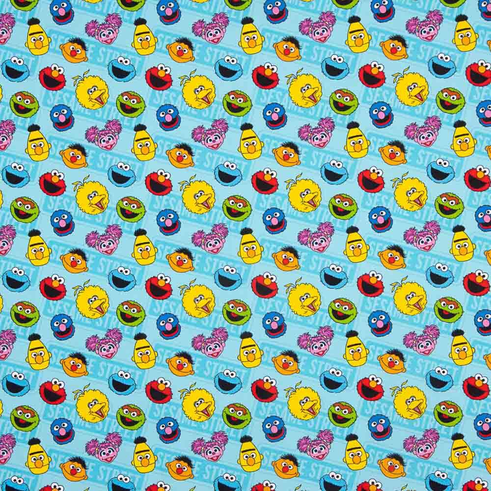 Algodão Sesame Street - Ribes y Casals