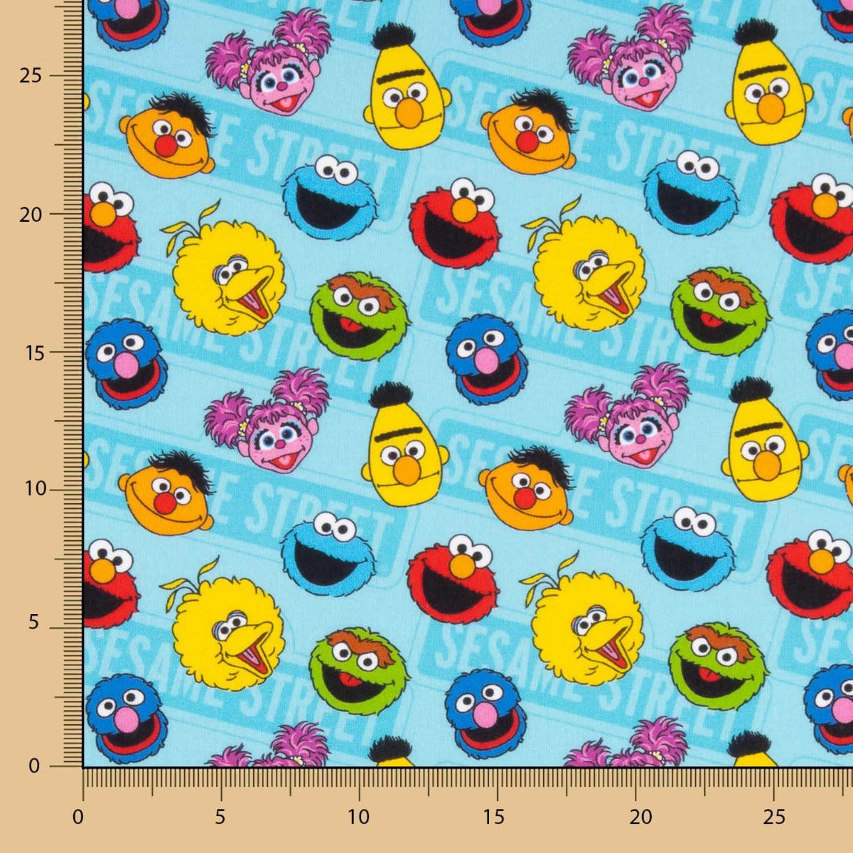Algodão Sesame Street - Ribes y Casals