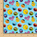 Algodão Sesame Street - Ribes y Casals