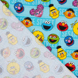 Algodão Sesame Street - Ribes y Casals