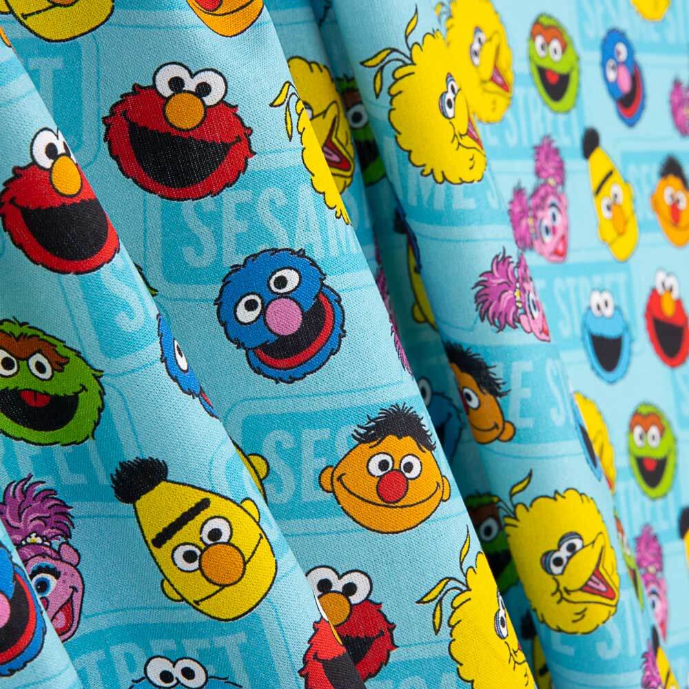 Algodão Sesame Street - Ribes y Casals