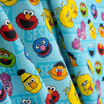 Algodão Sesame Street - Ribes y Casals