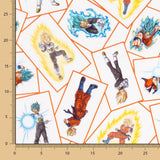 Algodão Dragon Ball Blanco - Ribes y Casals