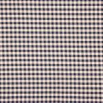 Algodão Rústico Xadrez Azul - Ribes y Casals