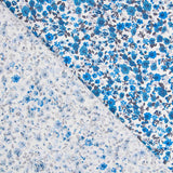 Algodão Flor Azul - Ribes y Casals